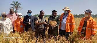 Cérémonie de récolte des variétés du riz en expérimentation par le consortium SMB-Winning 