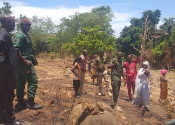 DESTRUCTION DE DOMAINES AGRICOLES A KINDIA