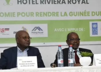 Winning Consortium Simandou soutien l’initiative de GREEN GUINEE pour une économie verte