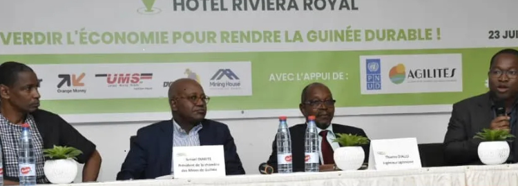 Winning Consortium Simandou soutien l’initiative de GREEN GUINEE pour une économie verte