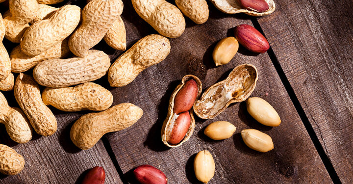 ￼A𝗧𝗘𝗟𝗜𝗘𝗥 𝗗’𝗢𝗥𝗜𝗘𝗡𝗧𝗔𝗧𝗜𝗢𝗡 𝗗𝗘𝗦 𝗔𝗖𝗧𝗜𝗩𝗜𝗧𝗘́𝗦 𝗗𝗨 𝗣𝗥𝗢𝗝𝗘𝗧 𝗗𝗨 𝗕𝗔𝗦𝗦𝗜𝗡 𝗔𝗥𝗔𝗖𝗛𝗜𝗗𝗜𝗘𝗥 𝗗𝗘 𝗗𝗔𝗕𝗢𝗟𝗔 𝗣𝗔𝗗𝗔𝗕𝗔𝗗