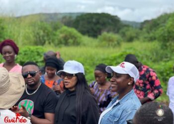 Les artistes Azaya, Djely Kaba Bintou, Lil Sacko et Straiker se lancent dans l’agriculture