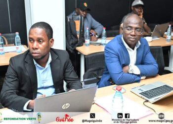 C𝐎𝐌𝐈𝐓𝐄́ 𝐃’𝐀𝐏𝐏𝐑𝐎𝐁𝐀𝐓𝐈𝐎𝐍 𝐃𝐄𝐒 𝐒𝐎𝐔𝐒-𝐏𝐑𝐎𝐉𝐄𝐓𝐒 𝐌𝐀𝐓𝐂𝐇𝐈𝐍𝐆 𝐆𝐑𝐀𝐍𝐓