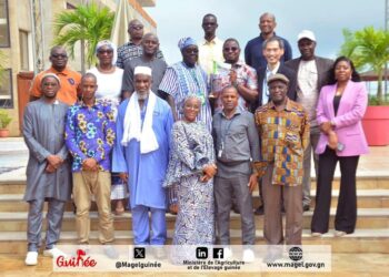 𝐀𝐭𝐞𝐥𝐢𝐞𝐫 𝐝𝐞 𝐑𝐞́𝐝𝐚𝐜𝐭𝐢𝐨𝐧 𝐝𝐞𝐬 𝐍𝐨𝐭𝐞𝐬 𝐂𝐨𝐧𝐜𝐞𝐩𝐭𝐮𝐞𝐥𝐥𝐞𝐬 𝐝𝐞 𝐥𝐚 𝐃𝐞𝐮𝐱𝐢𝐞̀𝐦𝐞 𝐆𝐞́𝐧é𝐫𝐚𝐭𝐢𝐨𝐧 𝐝𝐞 𝐥𝐚 𝐒𝐭𝐫𝐚𝐭𝐞́𝐠𝐢𝐞 𝐍𝐚𝐭𝐢𝐨𝐧𝐚𝐥𝐞 𝐝𝐞 𝐃𝐞́𝐯𝐞𝐥𝐨𝐩𝐩𝐞𝐦𝐞𝐧𝐭 𝐝𝐞 𝐥𝐚 𝐑𝐢𝐳𝐢𝐜𝐮𝐥𝐭𝐮𝐫𝐞 (𝐒𝐍𝐑𝐃𝟐)