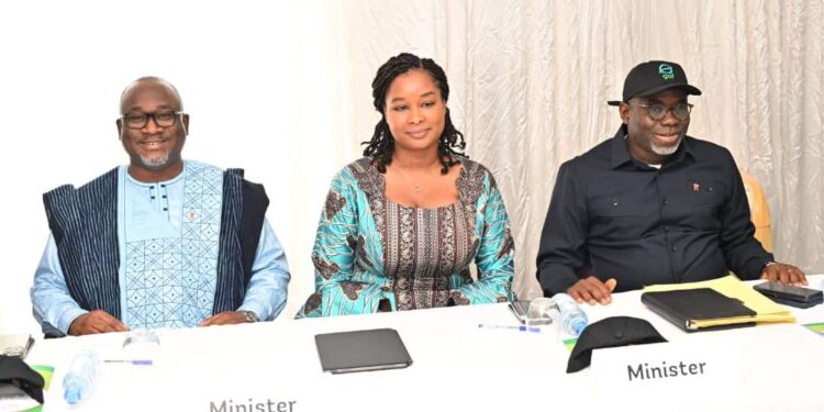 𝘿𝙞𝙖𝙡𝙤𝙜𝙪𝙚 𝙉𝙖𝙩𝙞𝙤𝙣𝙖𝙡 𝙨𝙪𝙧 𝙡𝙚𝙨 𝙚𝙣𝙟𝙚𝙪𝙭, 𝙡𝙚𝙨 𝙙é𝙛𝙞𝙨 𝙚𝙩 𝙡𝙚𝙨 𝙤𝙥𝙥𝙤𝙧𝙩𝙪𝙣𝙞𝙩é𝙨 𝙙𝙚 𝙛𝙞𝙣𝙖𝙣𝙘𝙚𝙢𝙚𝙣𝙩𝙨 𝙙𝙚𝙨 𝙥𝙧𝙤𝙟𝙚𝙩𝙨 𝙥𝙖𝙧 𝙡𝙚 Fonds de l’environnement Mondial (𝙁𝙀𝙈)