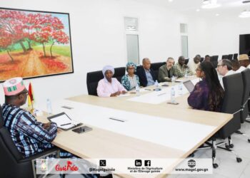 Mission du FIDA au Ministère de l’Agriculture et de l’Élevage