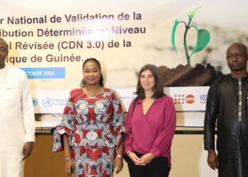 Atelier national de validation de la CDN 3.0 de la Guinée