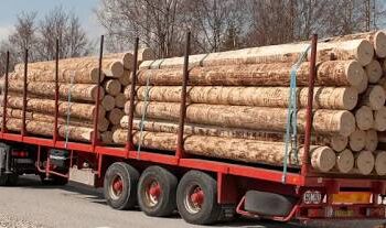 𝗖𝗢𝗠𝗠𝗨𝗡𝗜𝗤𝗨𝗘́ 𝗡° 𝟬𝟬𝟮/𝗠𝗘𝗗𝗗/𝟮𝟬𝟮𝟱