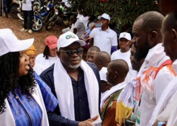 FODA : Un financement de 13 milliards GNF pour relancer la filière ananas en Basse Guinée