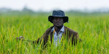 La Banque africaine de développement accueille des experts en agriculture climato-intelligente pour un forum continental : voici cinq points importants à retenir