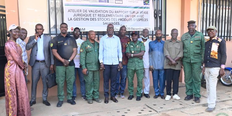 MEDD : validation d’un rapport sur la gestion des produits d’espèces sauvages