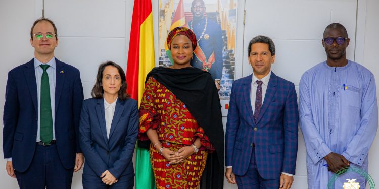 Coopération environnementale : la ministre Djami Diallo échange avec l’ambassadeur de l’Union européenne en Guinée
