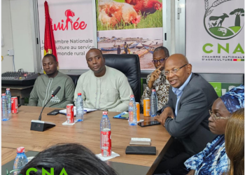 Guinée : la CNA reçoit une délégation d’entreprises françaises pour renforcer les partenariats agricoles