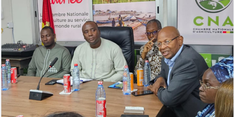 Guinée : la CNA reçoit une délégation d’entreprises françaises pour renforcer les partenariats agricoles