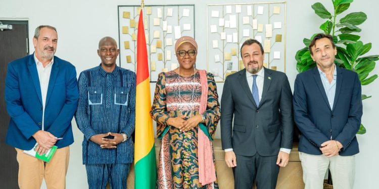 Coopération Guinée–Italie : le café et le cacao au centre d’un partenariat agricole renforcé
